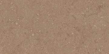 Керамогранит  COG501 60x60x20 Противоскольз.Рект. (Керамический гранит) _10