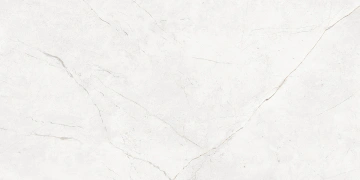 Керамогранит  RE04 30,6x60,9x8 Непол. (Керамический гранит) _7