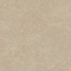 Керамогранит NP02 40,5x40,5x8 Непол. (Керамический гранит) (43,296 м2) #4