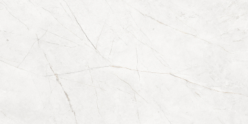 Керамогранит NL00 60x120x9 Полир. (Керамический гранит)-10