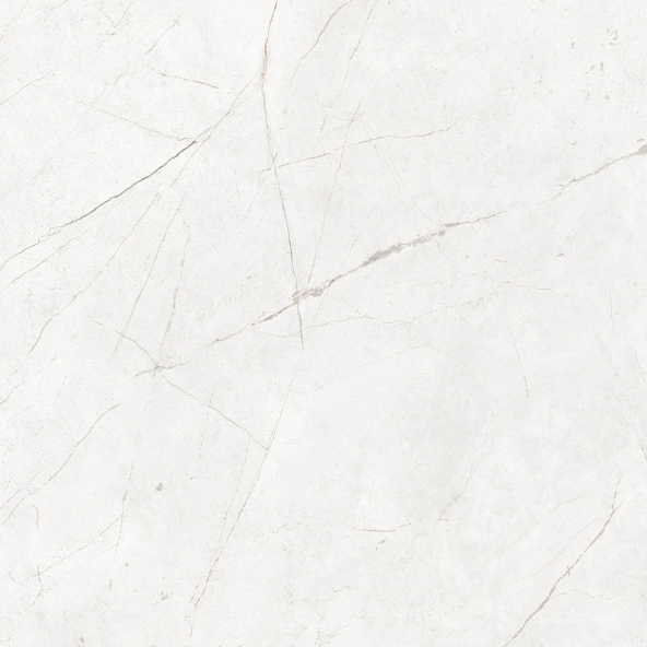 Керамогранит NL00 80x80x10 Непол.Рект. (Керамический гранит)-13