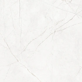 Керамогранит  NL01 60x60x9 Непол.Рект. (Керамический гранит) _5