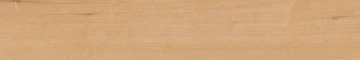 Керамогранит  BG01 19,4x120x10 Непол.Рект. (Керамический гранит) _7