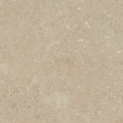 Керамогранит NP02 40,5x40,5x8 Непол. (Керамический гранит) (43,296 м2) #6