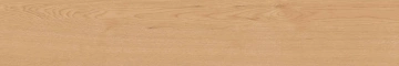 Керамогранит  BG01 19,4x120x10 Непол.Рект. (Керамический гранит) _1