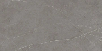 Керамогранит  AW01 19,4x120x9 Непол.Рект. (Керамический гранит) _7