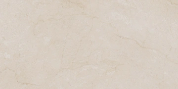 Керамогранит  RO02 60x120x9 Непол.Рект. (Керамический гранит) _1
