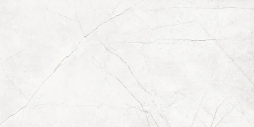 Керамогранит  NL04 60x60x10 Непол.Рект. (Керамический гранит) _2