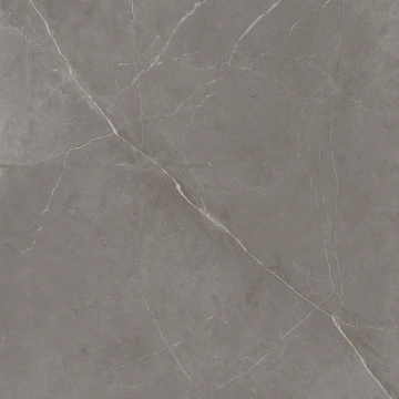 Керамогранит  TF03 60x60x9 Непол.Рект. (Керамический гранит) _5