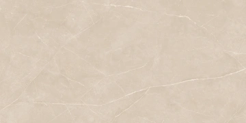 Керамогранит  KW05 19,4x120x10 Структур.Рект. (Керамический гранит) _4