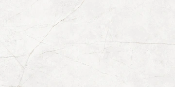 Керамогранит  RE04 30,6x60,9x8 Непол. (Керамический гранит) _5