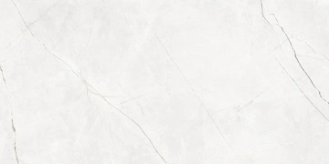 Керамогранит  NL04 60x60x10 Непол.Рект. (Керамический гранит) _9