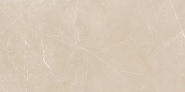 Керамогранит  NL02 60x60x10 Полир. (Керамический гранит) _9