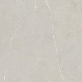 Керамогранит  RM01 60x60x10 Непол.Рект. (Керамический гранит) _8