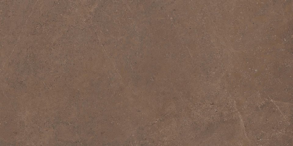 Керамогранит GO02 60x120x10 Непол.Рект. (Керамический гранит) #2