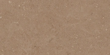Керамогранит  COG501 60x60x20 Противоскольз.Рект. (Керамический гранит) _2