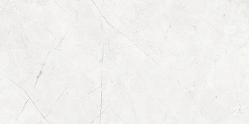 Керамогранит  NL01 60x120x9 Полир. (Керамический гранит) _2