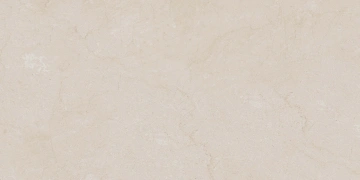 Керамогранит  RO02 60x120x9 Непол.Рект. (Керамический гранит) _4