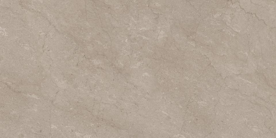 Керамогранит AEM02 80x160x10 Непол.Рект. (Керамический гранит) #9