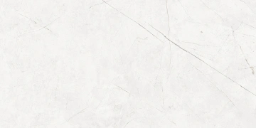 Керамогранит  NL04 60x60x10 Непол.Рект. (Керамический гранит) _4
