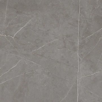 Керамогранит  TF03 60x60x9 Непол.Рект. (Керамический гранит) _8
