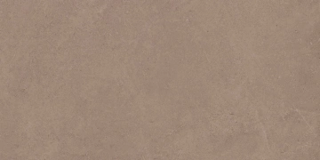Керамогранит  CA05 60x60x9 Непол.Рект. (Керамический гранит) _2