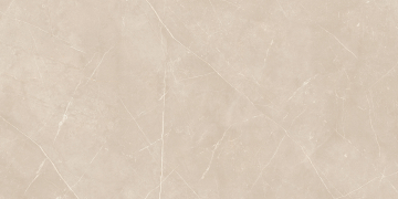 Керамогранит  NL00 60x120x9 Полир. (Керамический гранит) 