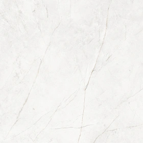 Керамогранит  NL01 60x60x9 Непол.Рект. (Керамический гранит) _17