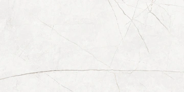 Керамогранит  NL01 60x120x9 Полир. (Керамический гранит) _4