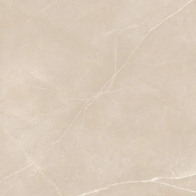 Керамогранит  NL03 60x120x9 Непол.Рект. (Керамический гранит) _19