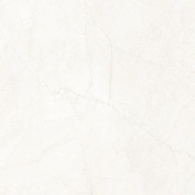 Керамогранит  SR04 60x120х10 Непол.Рект. (Керамический гранит) _2