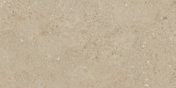Керамогранит  NP01 30,6x60,9x8 Непол. (Керамический гранит) _7