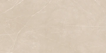 Керамогранит  NL00 60x120x10 Непол.Рект. (Керамический гранит) _4