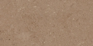 Керамогранит  COG501 60x60x20 Противоскольз.Рект. (Керамический гранит) _9