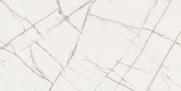Керамогранит  EXM101 60x120x9 Непол.Рект. (Керамический гранит) _5
