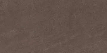 Керамогранит  NP03 30,6x60,9x8 Непол. (Керамический гранит) _4