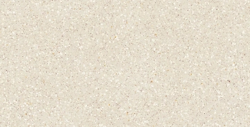 Керамогранит  CM00 60x120x10 Непол.Рект. (Керамический гранит) _5