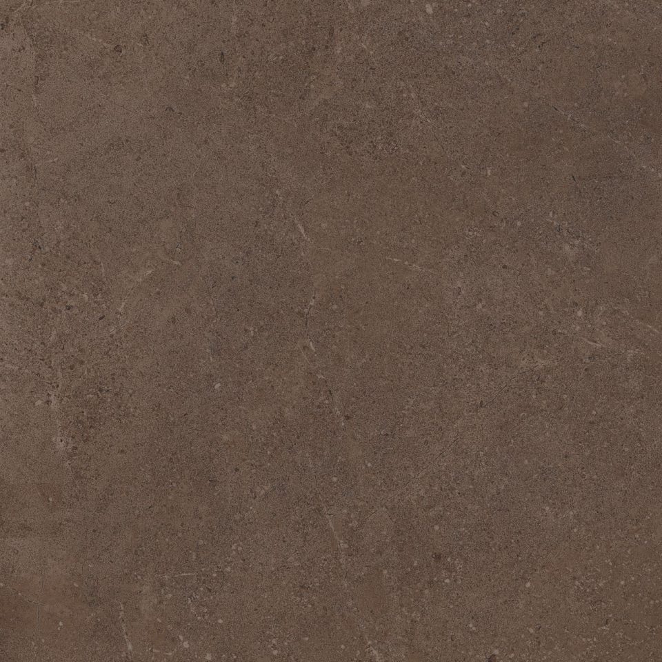 Керамогранит GO03 60x60 Непол.Рект. (Керамический гранит) #2