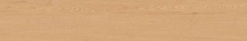 Керамогранит  BG01 19,4x120x10 Непол.Рект. (Керамический гранит) _14