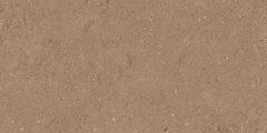 Керамогранит NP03 30,6x60,9x8 Непол. (Керамический гранит) #4