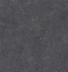 Керамогранит  BG01 19,4x120x10 Непол.Рект. (Керамический гранит) _4
