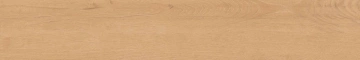 Керамогранит  BG01 19,4x120x10 Непол.Рект. (Керамический гранит) _19