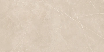 Керамогранит  NL02 60x60x10 Полир. (Керамический гранит) _3