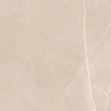Керамогранит  NL00 60x60x9 Полир. (Керамический гранит) _4