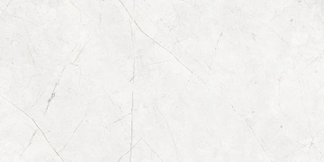 Керамогранит  RE04 30,6x60,9x8 Непол. (Керамический гранит) _1