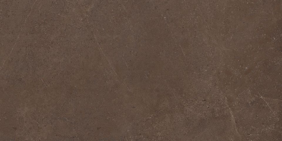 Керамогранит GO03 60x120x10 Непол.Рект. (Керамический гранит) #2
