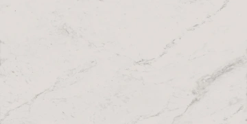 Керамогранит  AW02 19,4x120x10 Непол.Рект. (Керамический гранит) _10