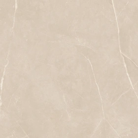Керамогранит  NL00 60x60x9 Полир. (Керамический гранит) _10