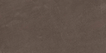 Керамогранит  NP03 30,6x60,9x8 Непол. (Керамический гранит) _3