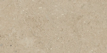 Керамогранит  NP01 30,6x60,9x8 Непол. (Керамический гранит) _9